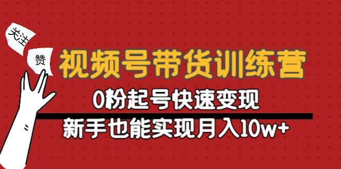 （4446期）视频号带货训练营：0粉起号快速变现，新手也能实现月入10w+天亦网独家提供-天亦资源网