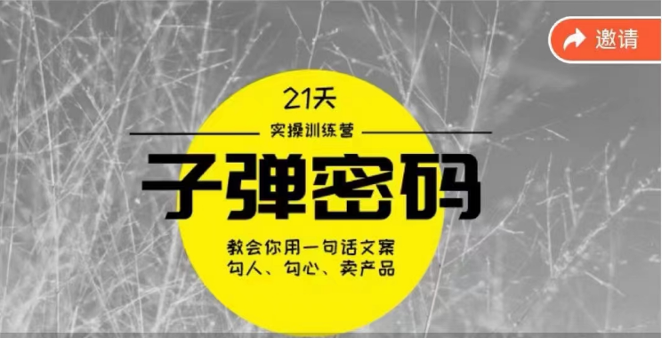 《子弹密码训练营》用一句话文案勾人勾心卖产品，21天学到顶尖文案大师策略和技巧天亦网独家提供-天亦资源网