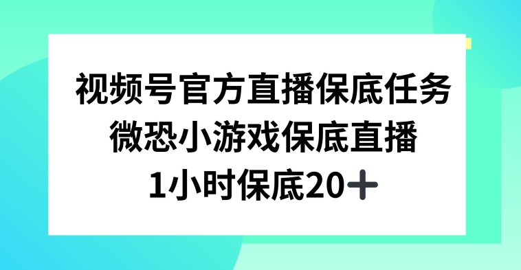 视频号直播任务，微恐小游戏，1小时20+天亦网独家提供-天亦资源网