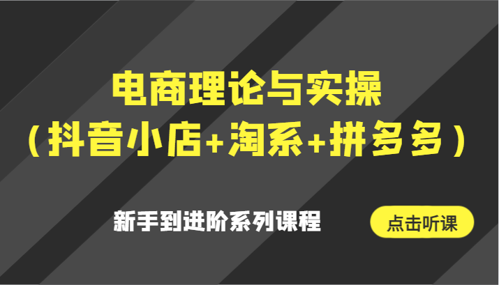 电商理论与实操（抖音小店+淘系+拼多多）新手到进阶系列课程天亦网独家提供-天亦资源网