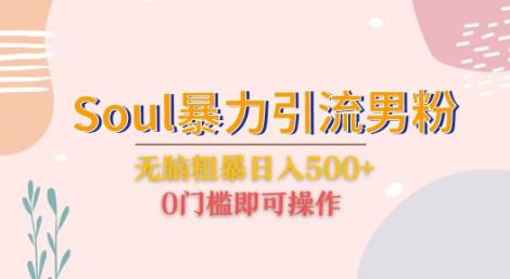 Soul暴力引流男粉玩法，无脑粗暴日入500＋，0门槛即可操作【揭秘】天亦网独家提供-天亦资源网