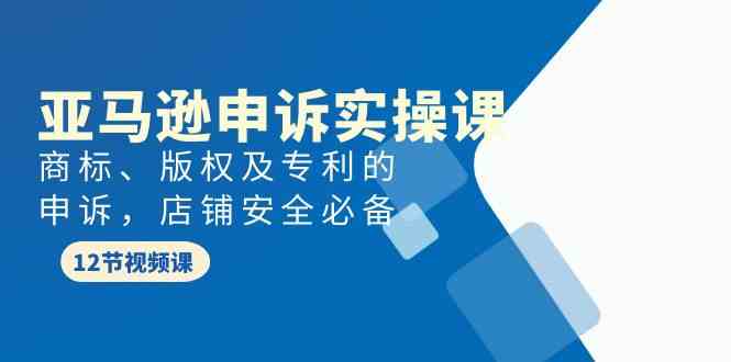 亚马逊申诉实战课，商标、版权及专利的申诉，店铺安全必备天亦网独家提供-天亦资源网