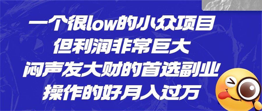 [抖音快手]一个很low的小众项目，但利润非常巨大，闷声发大财的首选副业，操作的好月入过万天亦网独家提供-天亦资源网