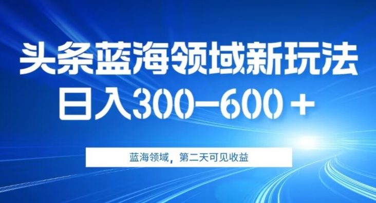 AI头条野路子蓝海领域新玩法2.0，日入300-600＋，附保姆级教程【揭秘】天亦网独家提供-天亦资源网