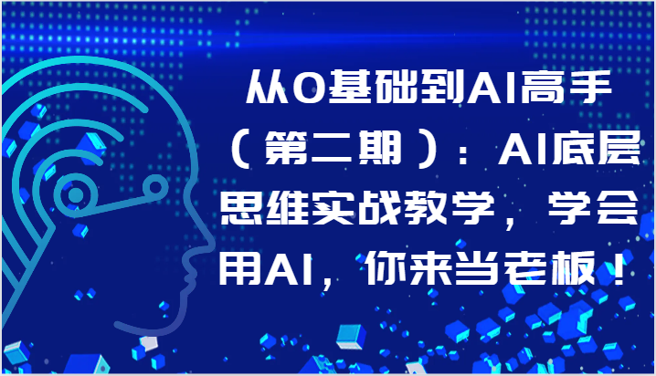 从0基础到AI高手（第二期）：AI底层思维实战教学，学会用AI，你来当老板！天亦网独家提供-天亦资源网