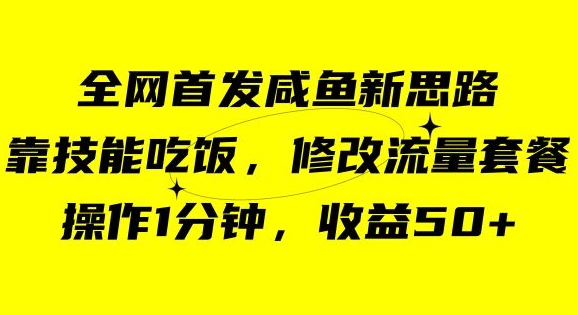 咸鱼冷门新玩法，靠“技能吃饭”，修改流量套餐，操作1分钟，收益50【揭秘】天亦网独家提供-天亦资源网