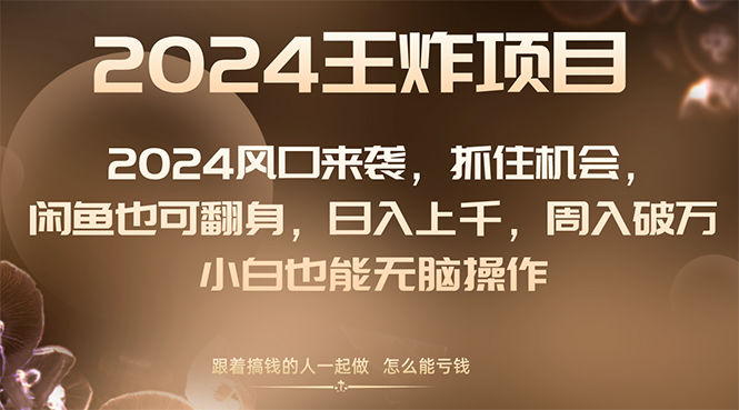 （8401期）2024风口项目来袭，抓住机会，闲鱼也可翻身，日入上千，周入破万，小白天亦网独家提供-天亦资源网