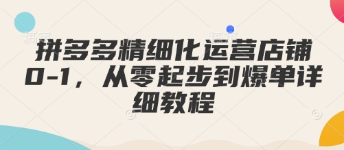 拼多多精细化运营店铺0-1，从零起步到爆单详细教程天亦网独家提供-天亦资源网