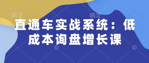 直通车实战系统：低成本询盘增长课，让个人通过技能实现升职加薪，让企业低成本获客，订单源源不断天亦网独家提供-天亦资源网