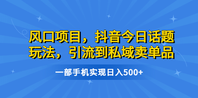 （6588期）风口项目，抖音今日话题玩法，引流到私域卖单品，一部手机实现日入500+天亦网独家提供-天亦资源网