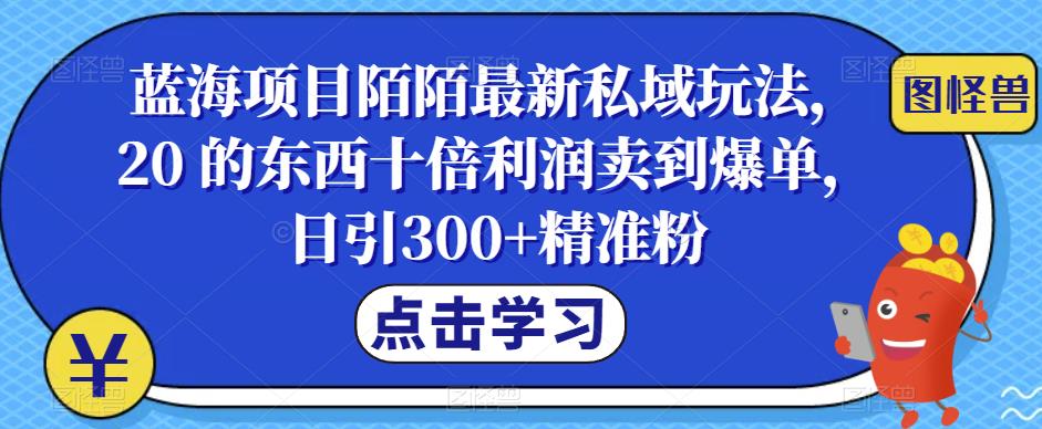 蓝海项目陌陌最新私域玩法，20 的东西十倍利润卖到爆单，日引300+精准粉【揭秘】天亦网独家提供-天亦资源网