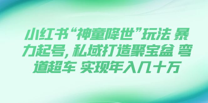 （7673期）小红书“神童降世”玩法 暴力起号,私域打造聚宝盆 弯道超车 实现年入几十万天亦网独家提供-天亦资源网