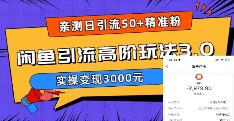 （5739期）实测日引50+精准粉，闲鱼引流高阶玩法3.0，实操变现3000元天亦网独家提供-天亦资源网