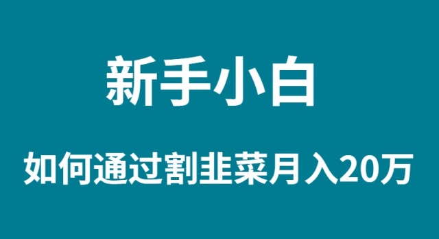 （9308期）新手小白如何通过割韭菜月入 20W天亦网独家提供-天亦资源网