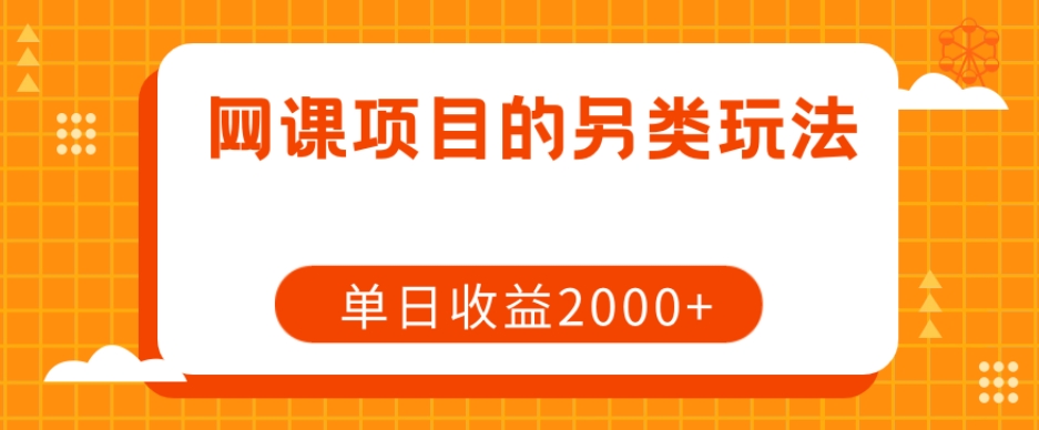 网课项目的另类玩法，单日收益2000+【揭秘】天亦网独家提供-天亦资源网