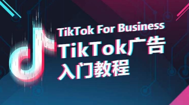 TikTok广告入门教程，从0到1掌握TikTok投放的全流程天亦网独家提供-天亦资源网