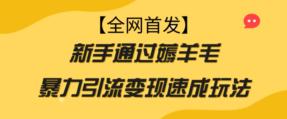 【全网首发】新手通过薅羊毛暴力引流变现速成玩法天亦网独家提供-天亦资源网