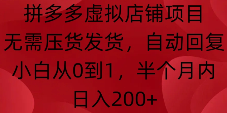 拼多多虚拟店铺项目，无需压货发货，自动回复，小白从0到1，半个月内日入200+天亦网独家提供-天亦资源网