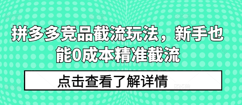 拼多多竞品截流玩法，新手也能0成本精准截流天亦网独家提供-天亦资源网