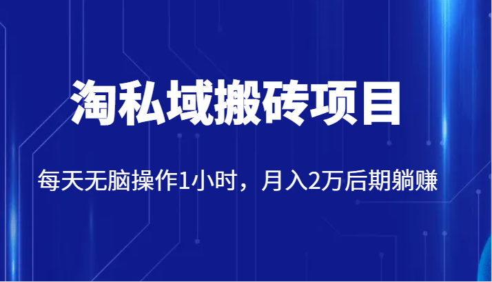 价值2980的淘私域搬砖项目，每天无脑操作1小时，月入2万后期躺赚天亦网独家提供-天亦资源网