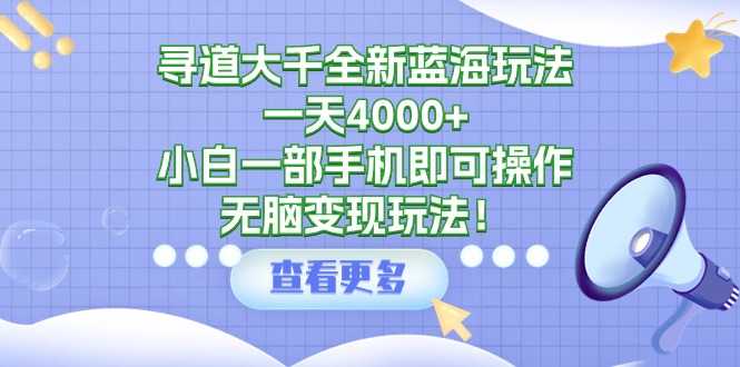 （9479期）寻道大千全新蓝海玩法，一天4000+，小白一部手机即可操作，无脑变现玩法！天亦网独家提供-天亦资源网