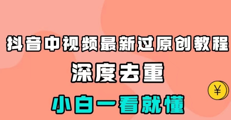 抖音中视频最新过原创教程，深度去重，小白一看就懂【揭秘】天亦网独家提供-天亦资源网