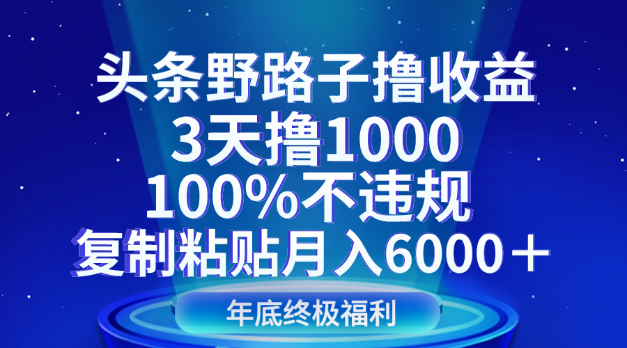 头条野路子撸收益，3天撸1000，100%不违规，复制粘贴月入6000＋天亦网独家提供-天亦资源网