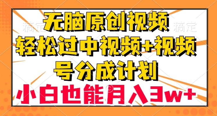 无脑原创视频，轻松过中视频+视频号分成计划，小白也能月入3w+【揭秘】天亦网独家提供-天亦资源网