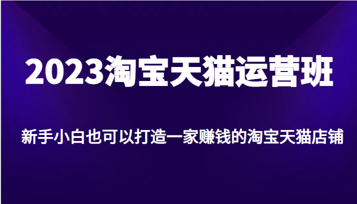 2023淘宝天猫运营班，新手小白也可以打造一家赚钱的淘宝天猫店铺天亦网独家提供-天亦资源网