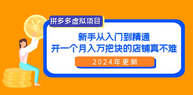 （9744期）拼多多虚拟项目：入门到精通，开一个月入万把块的店铺 真不难（24年更新）天亦网独家提供-天亦资源网