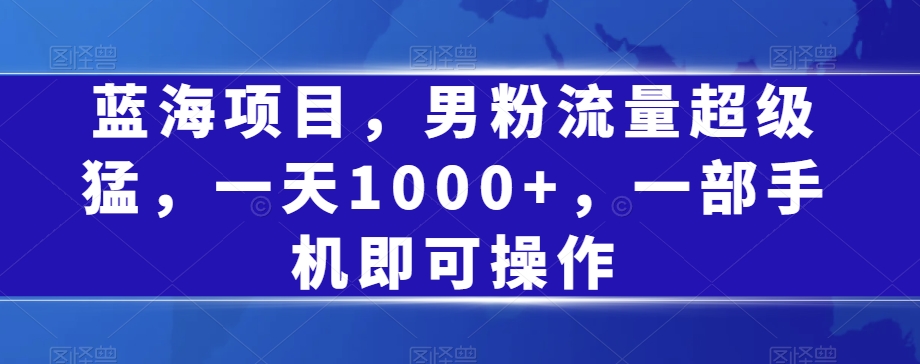 蓝海项目，男粉流量超级猛，一天1000+，一部手机即可操作【揭秘】天亦网独家提供-天亦资源网