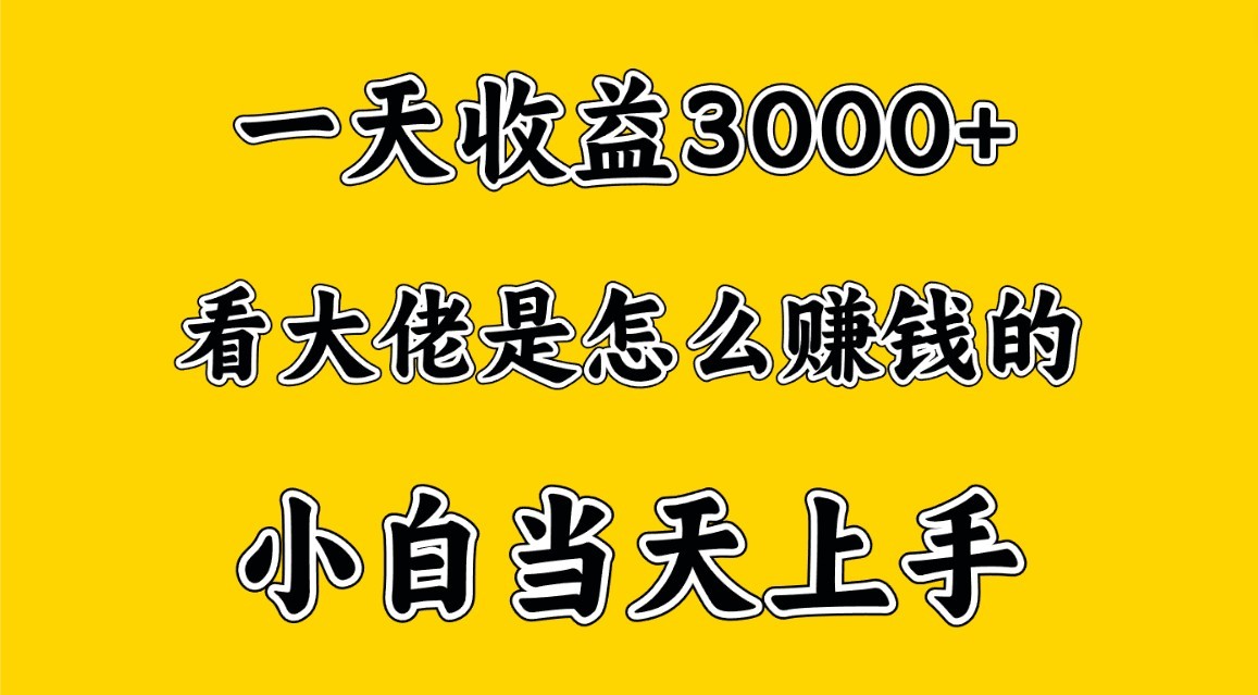 一天赚3000多，大佬是这样赚到钱的，小白当天上手，穷人翻身项目天亦网独家提供-天亦资源网