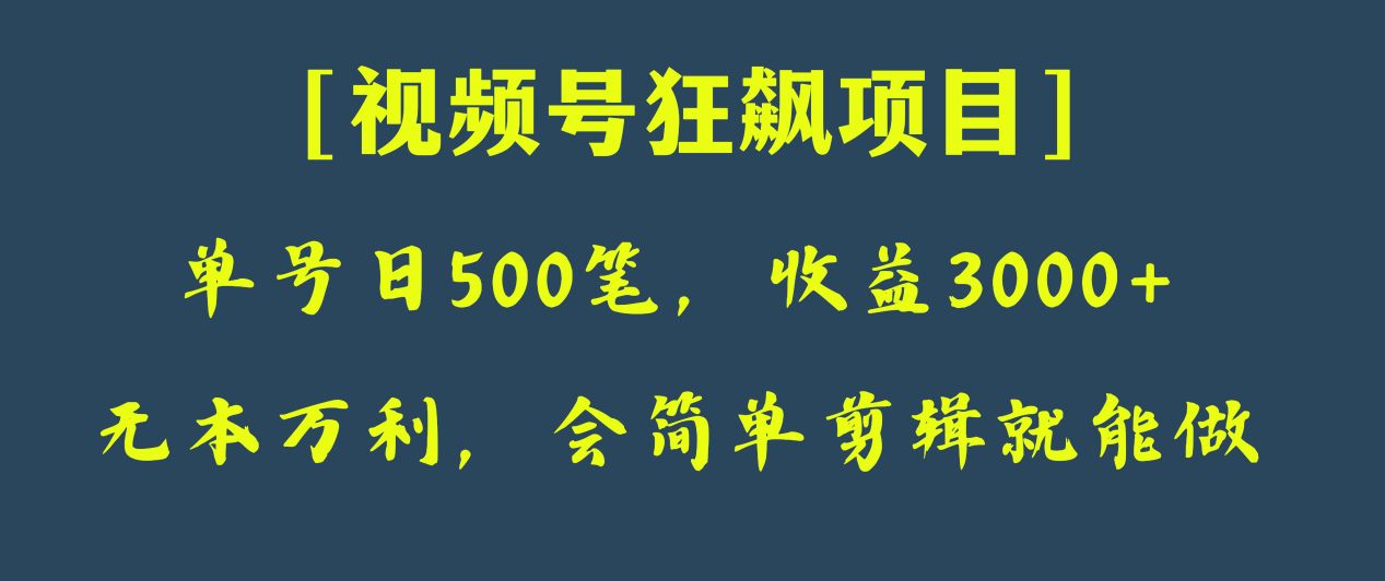 日收款500笔，纯利润3000+，视频号狂飙项目！天亦网独家提供-天亦资源网