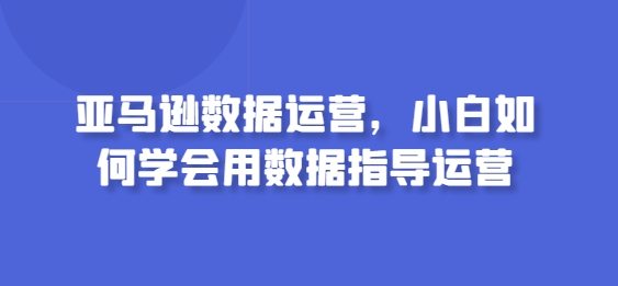 亚马逊数据运营，小白如何学会用数据指导运营天亦网独家提供-天亦资源网