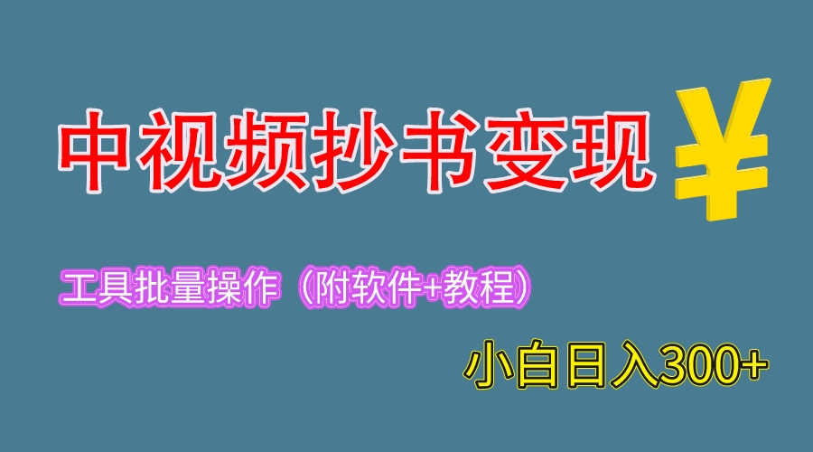 （6246期）2023中视频抄书变现（附工具+教程），一天300+，特别适合新手操作的副业天亦网独家提供-天亦资源网