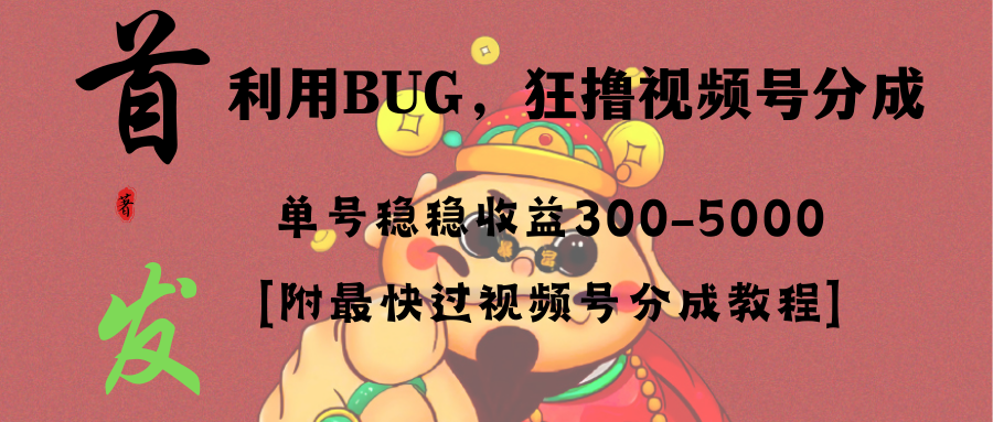 （8549期）全网独家首发，视频号BUG，超短期项目，单号每日净收益300-5000！天亦网独家提供-天亦资源网